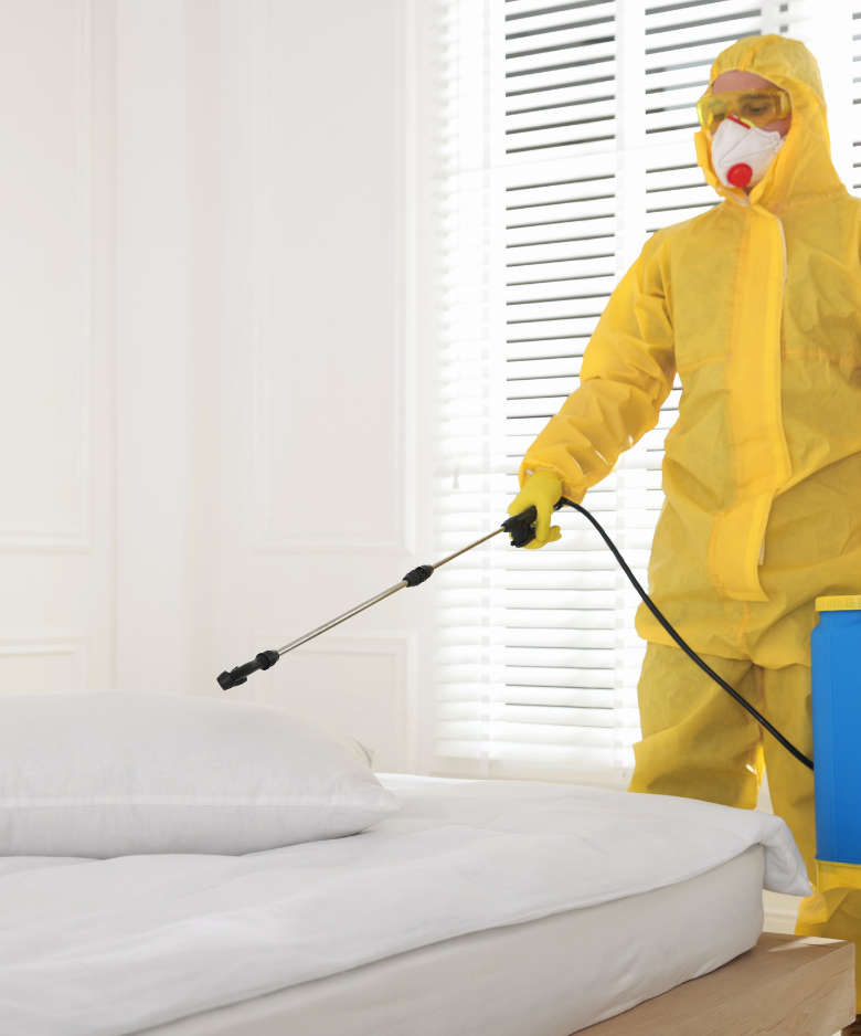 Professional Pest Control Team in Mylor